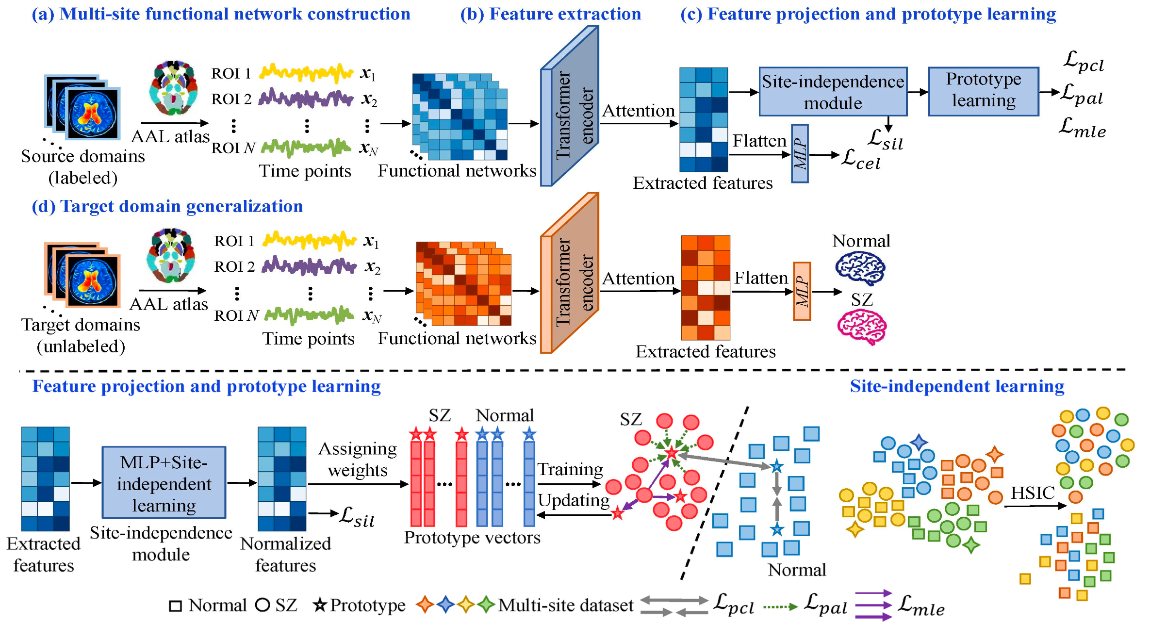 Prototypical Representation Learning for Multi-Site Domain ...